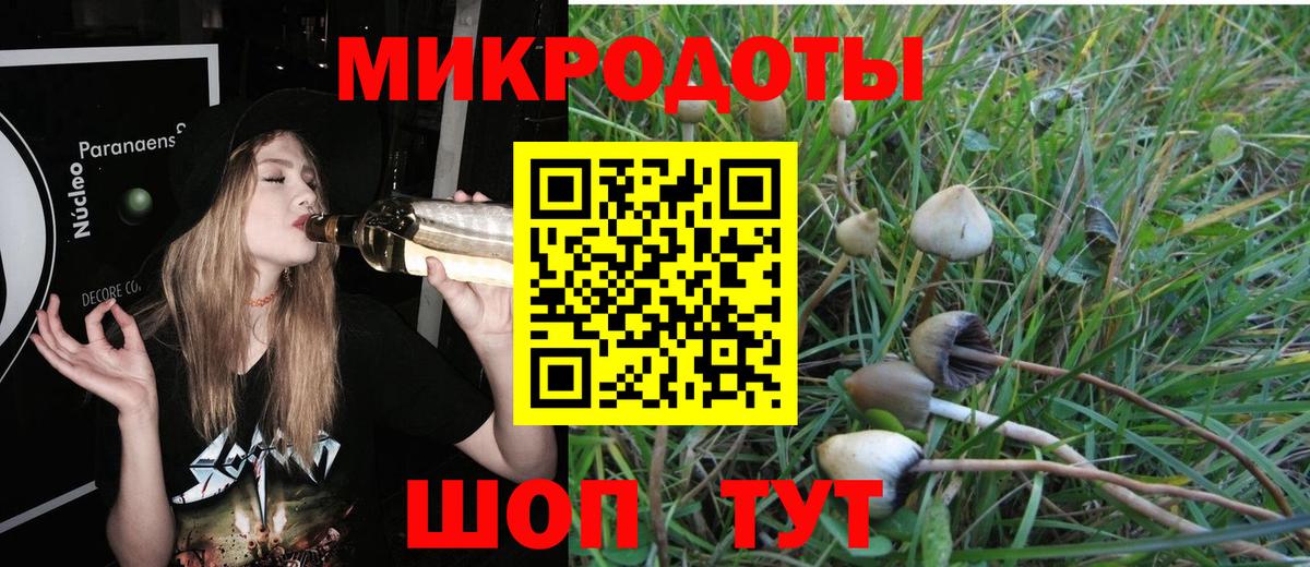 Cocaine Камышин
