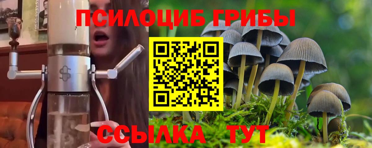 где найти наркотики  Вход с VPN  Галлюциногенные грибы ЛСД  Камышин  Псилоцибиновые грибы ЛСД 